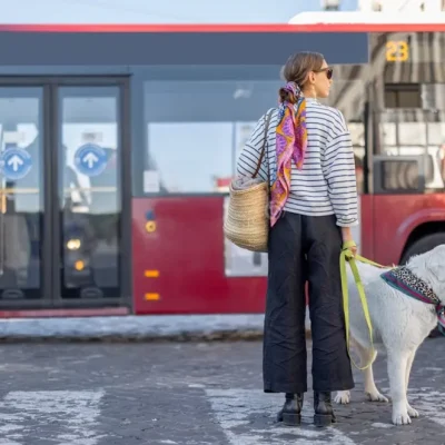 Plume & Ses Amis obtient sa première victoire : une avancée pour les animaux
